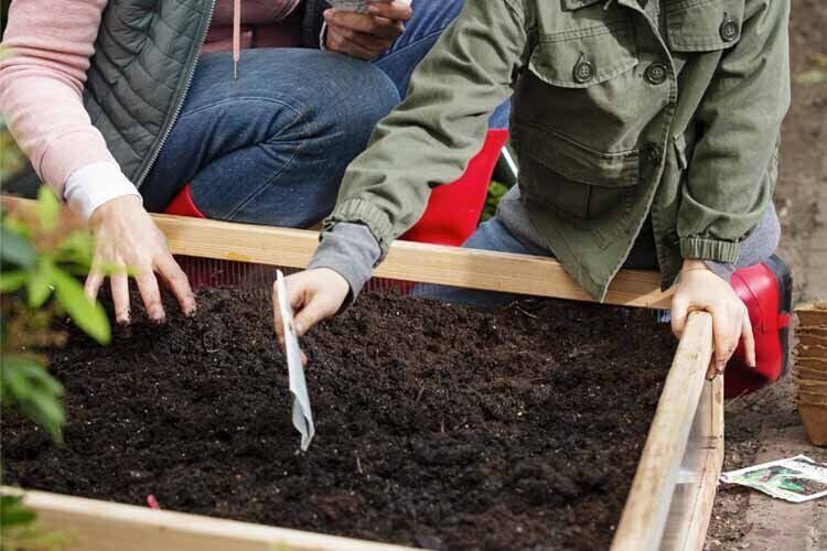 tuinkalender februari